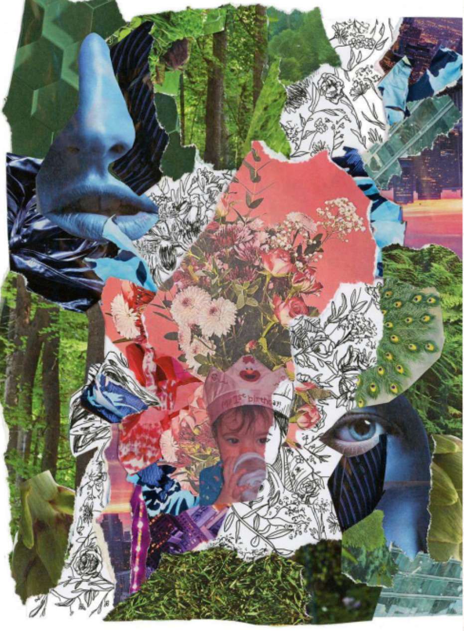 A dense collage of torn photographs layering forest canopy, botanical line drawings, cut flowers, a peacock feather, a child’s face and a single blue eye.