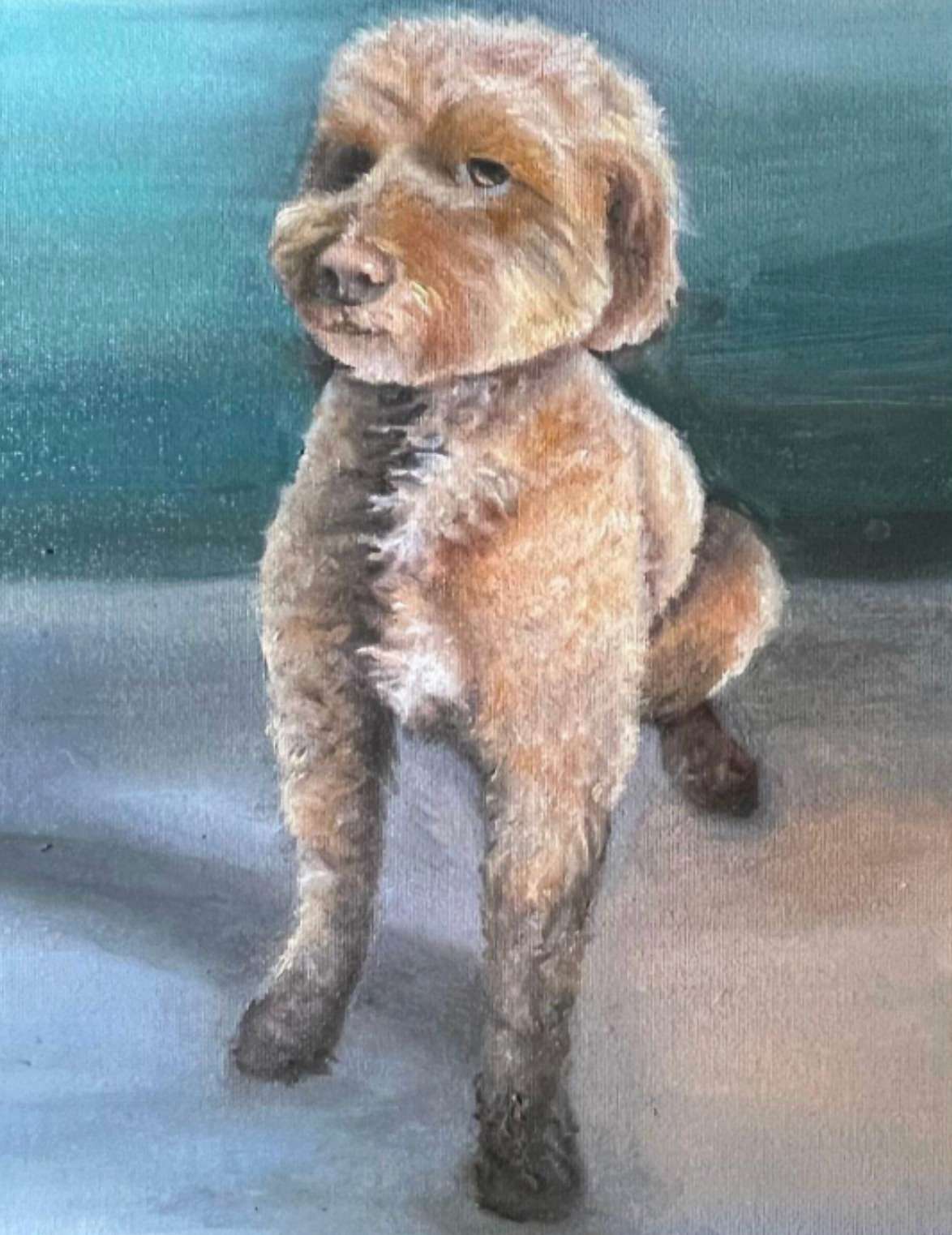Portrait of a cream-coloured labradoodle standing and turning toward the viewer, painted against a deep teal background.